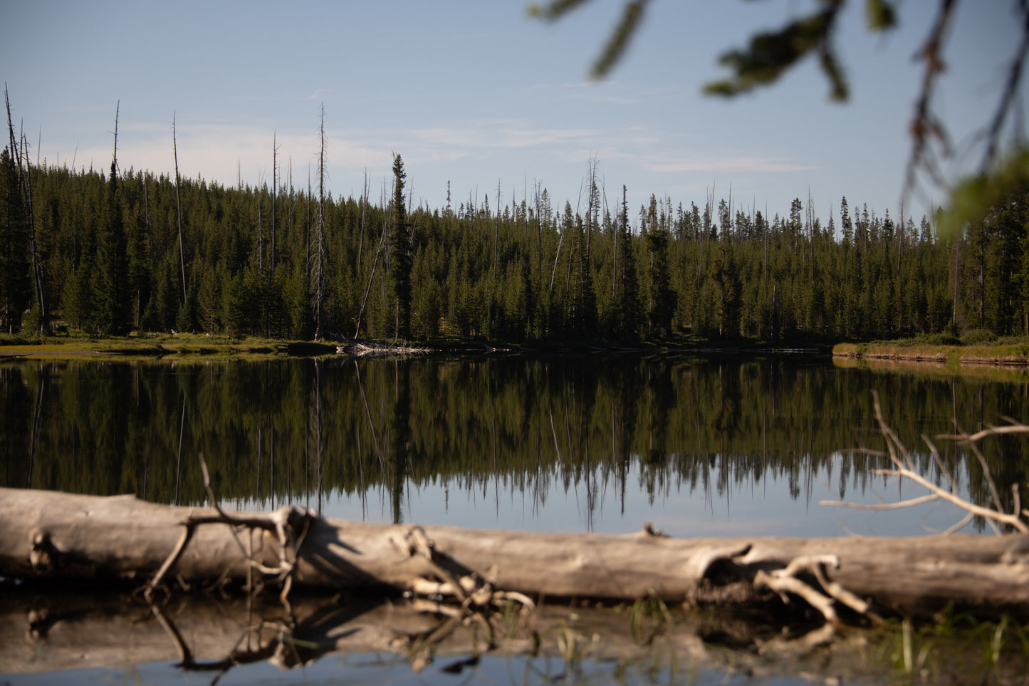 Still Waters