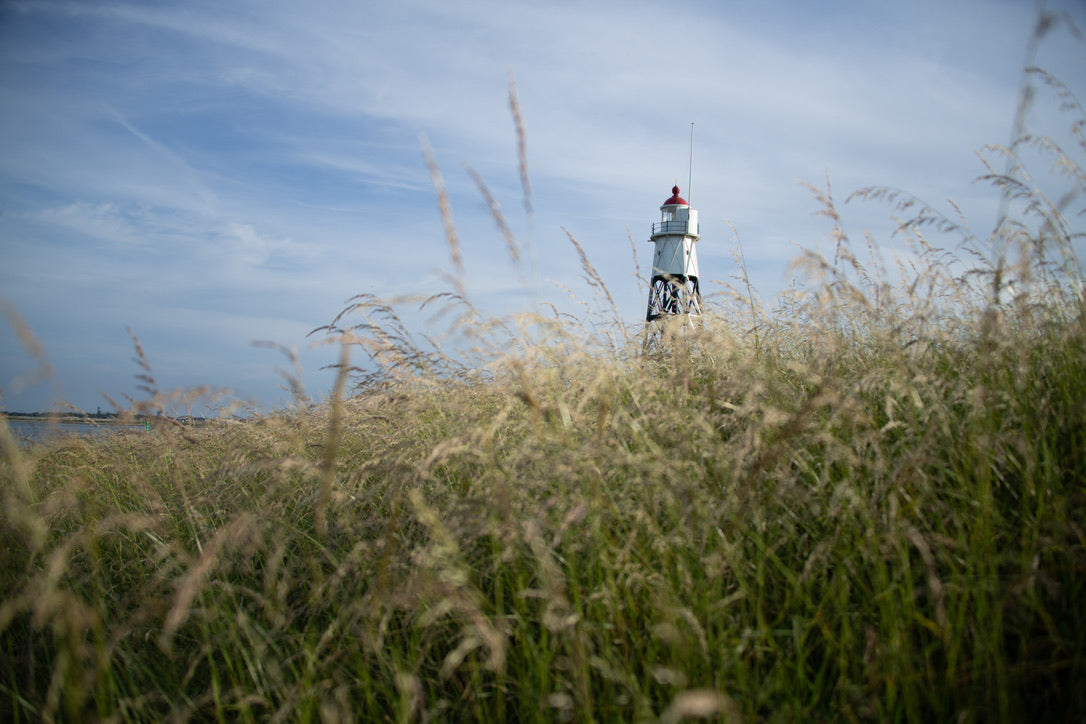 Lighthouse View