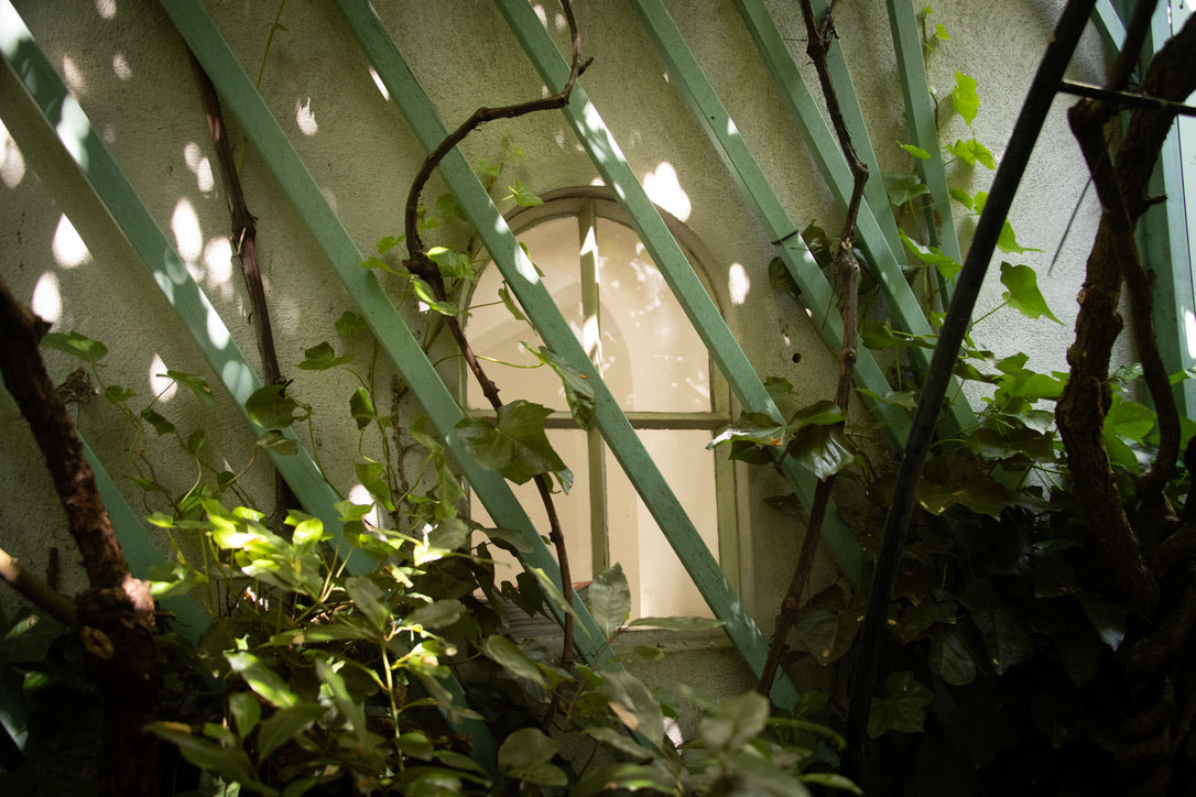 Garden Window