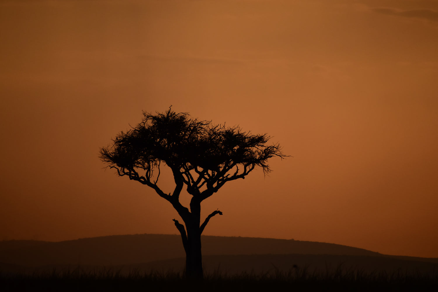 The Great Rift Valley
