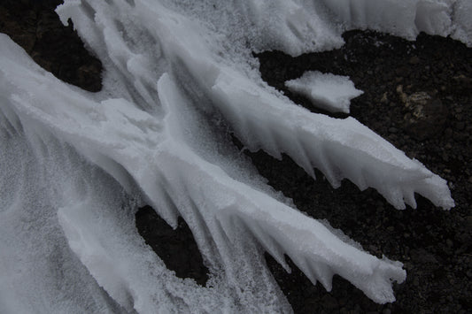 Penitentes