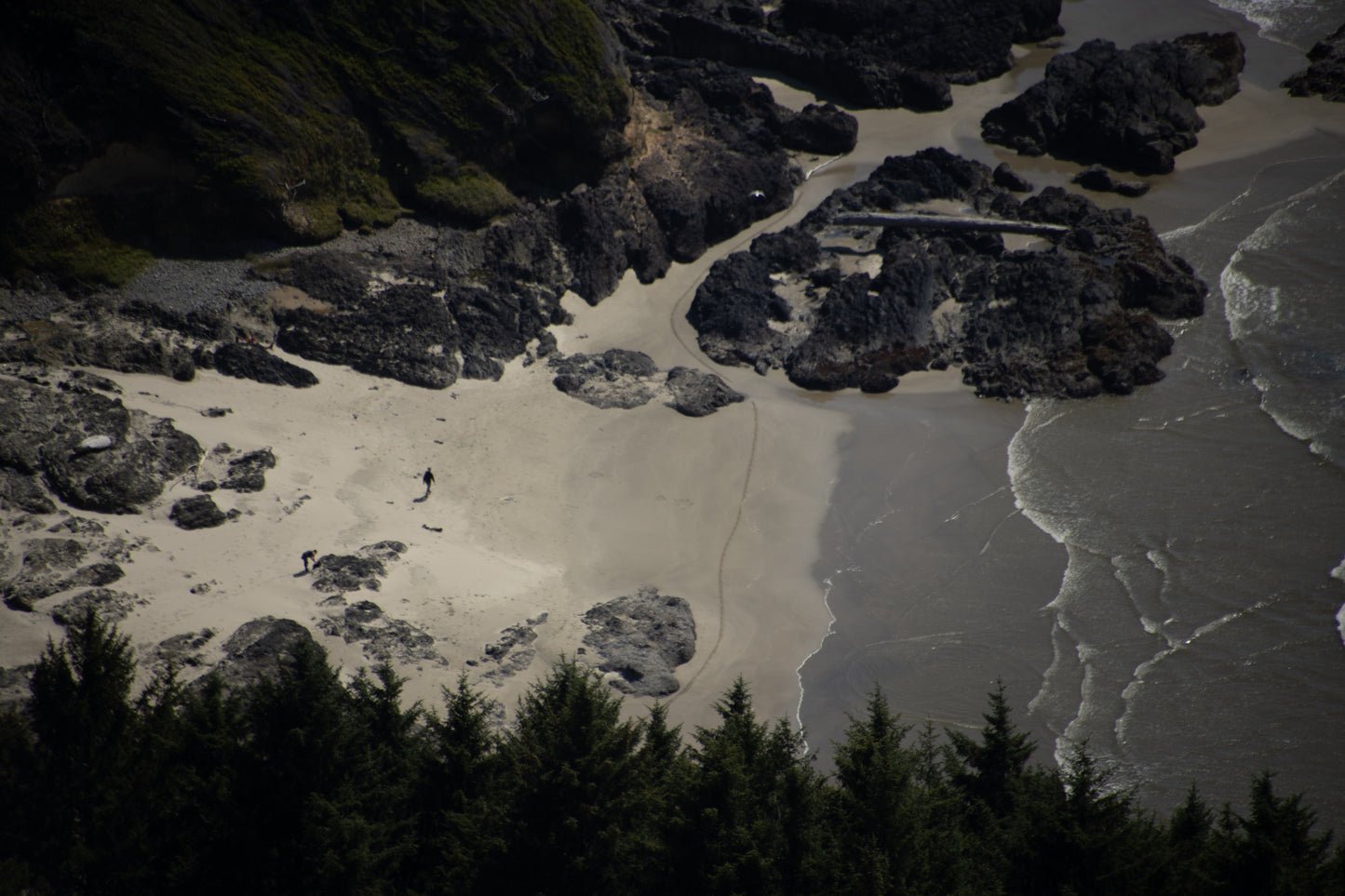 Cape Perpetua