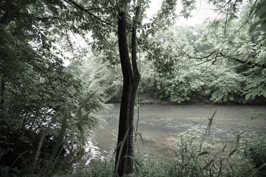 By the River