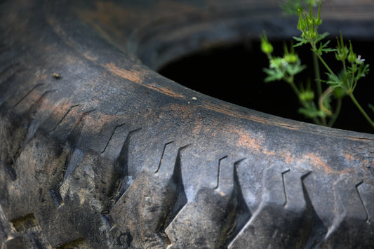 The Old Tire