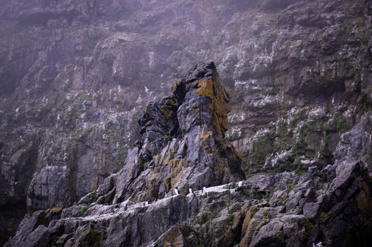 Spire in the Mist