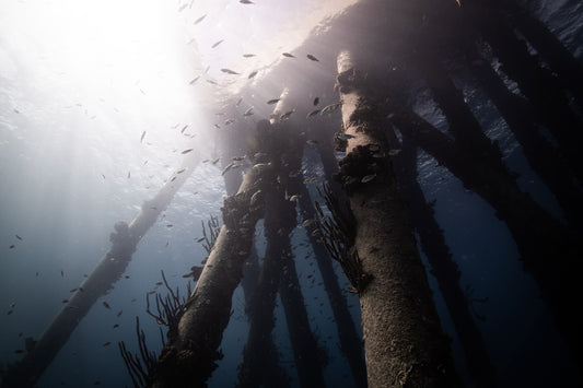 Salt Pier